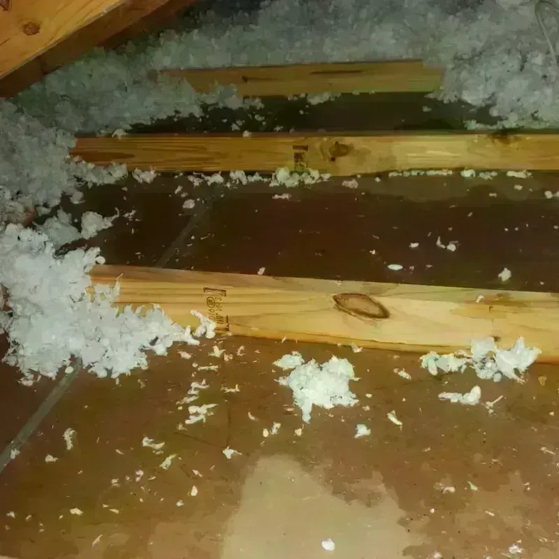 Attic Water Damage in Loyola, CA